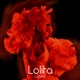 Lolita Single