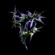 Discorporate EP