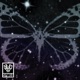 Butterflies Shooting Stars