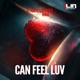 Can Feel Luv feat Hira Single