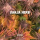 Ganja Herb Single