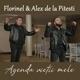 Agenda vietii mele Single