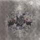 Circumstellar Single