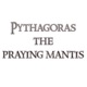 Armour Single