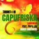 Capufriska feat Papa Leu Brass Brothers Single