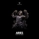 Aries Unseen Remix Single