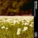 Fill in the Missing Numbers EP