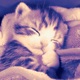 how do you sleep at night Single