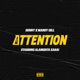 ATTENTION Single