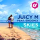 Skies feat Endemix Radio Edit Single