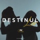Destinul lor feat FRDM Single