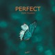 Perfect Single