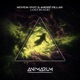 Lost in Acid Single