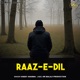 Raaz E Dil Single