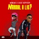 Nahmal a Lie feat Cojo Hotfoot feat Cojo Hotfoot Single