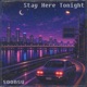 Stay Here Tonight feat Niko Single