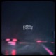 Liability Single