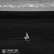 Pirate freestyle Single