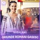 Oriunde Romani Gasesc Single