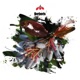 Meditating Frog EP Single