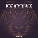 Pantera Single