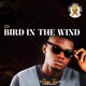 Bird In the Wind EP
