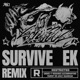 Survive feat B Free Remixes Single