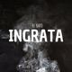INGRATA Single