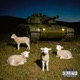Suicide Collectif feat Nik Tendo BoyBandit TheHashClique Single