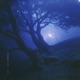 cold air Single