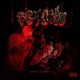 Psycho Single