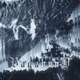 VAGABOND Single