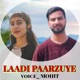 Laadi Paarzuye Single