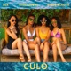 Culo feat Young Downs Byron McKeith Single