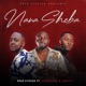 Nana Sheba feat Lunvcy Vusinator Single
