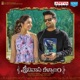 Srinivasa Kalyanam Original Motion Picture Soundtrack