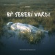 bi sebebi vardı Single