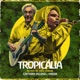 Tropicália 342 Amazônia ao Vivo no Circo Voador Single