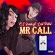 Mr Call feat Lostpetal Single