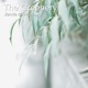 The Greenery Live Single