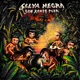 Selva Negra Single