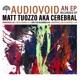 Audiovoid EP