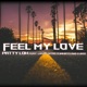Feel My Love Lajos Sitas DjNimrys DjDee Single