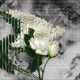 Flower Single
