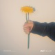 Spring Single