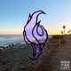 Shoreline Single