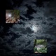 shoot for the moon Single