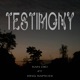 Testimony feat King Rapsodi Single