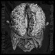 Ethereal Disease Single