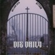 Die Daily EP